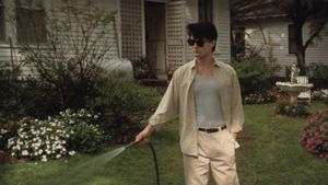 Blue Velvet's poster