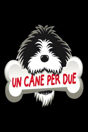 Un cane per due's poster