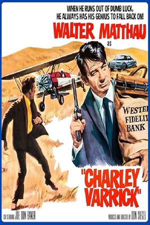 Charley Varrick's poster