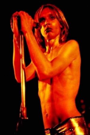 Search and Destroy: Iggy & The Stooges' Raw Power's poster