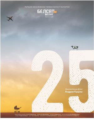 25's poster image