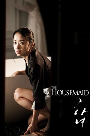 The Housemaid's poster