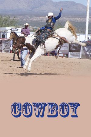 Cowboy's poster