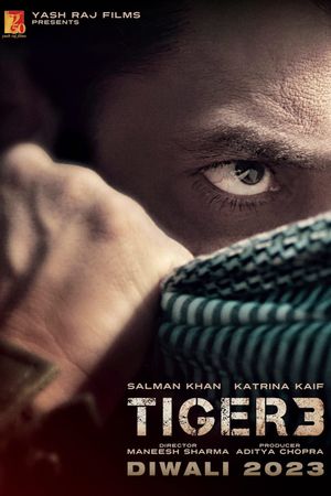 Tiger 3's poster