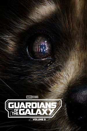 Guardians of the Galaxy Vol. 3's poster