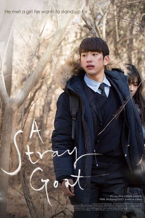 A Stray Goat's poster