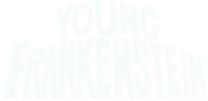 Young Frankenstein's poster
