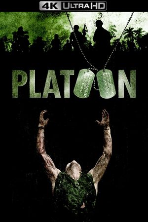 Platoon's poster