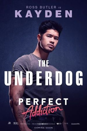 Perfect Addiction's poster