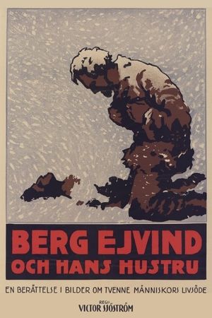 The Outlaw and His Wife's poster