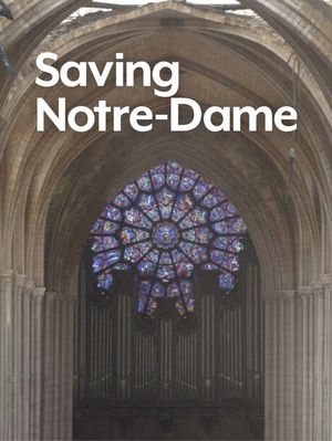 Saving Notre Dame's poster