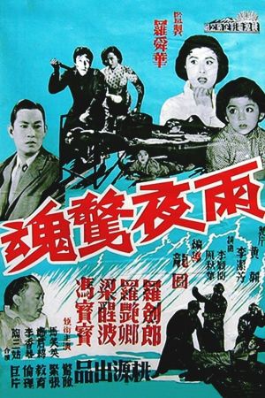 The Stormy Night's poster image