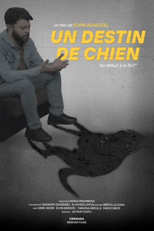 Bir İtin Taleyi's poster