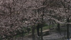 Blue Spring's poster