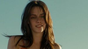 Into the Wild's poster