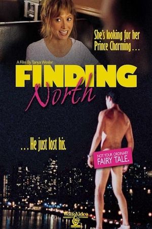 Finding North's poster image