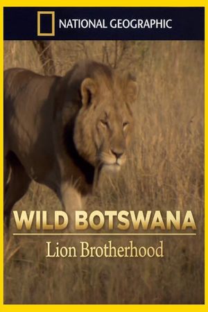 Lion Brotherhood's poster