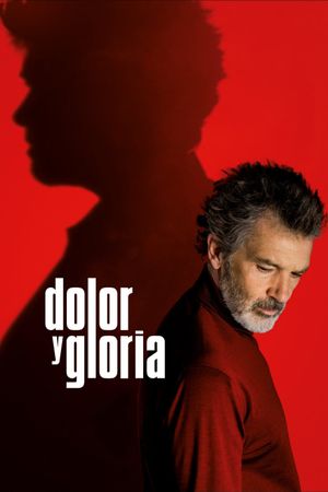 Pain and Glory's poster