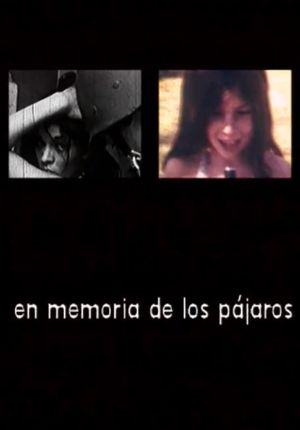 En memoria de los pájaros's poster