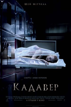 The Possession of Hannah Grace's poster