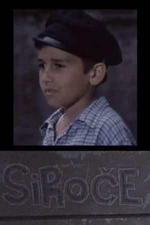 Orphan's poster