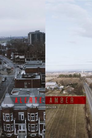 Alerte amber : le documentaire's poster