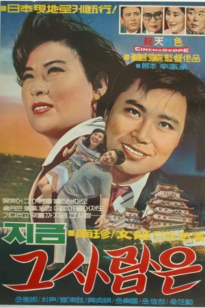 Past Loves's poster