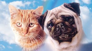 The Adventures of Milo and Otis's poster