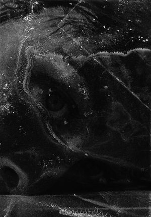 After Psycho Shower's poster