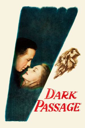 Dark Passage's poster