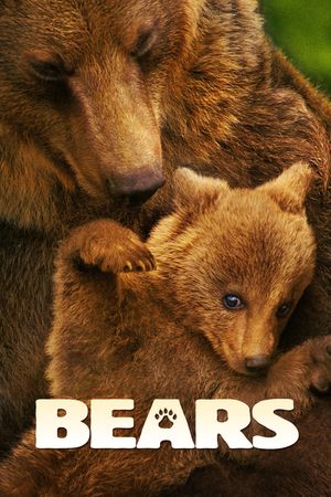 Bears's poster image