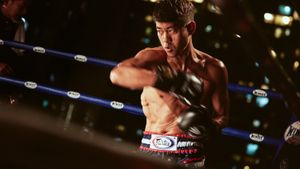 The Journey of a Boxer's poster