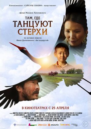 Where the Siberian Cranes Dance's poster