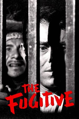 The Fugitive's poster
