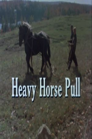 Heavy Horse Pull's poster