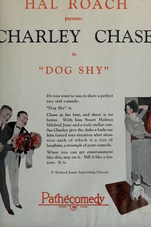 Dog Shy's poster