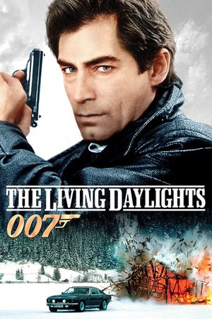 The Living Daylights's poster