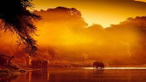 Zambezi: Force of Life's poster