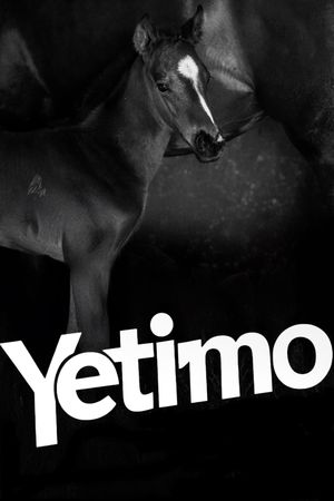 Yetimo's poster image