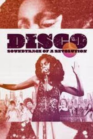 Disco: Soundtrack of a Revolution's poster