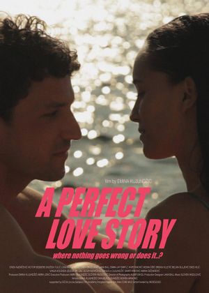 A Perfect Love Story Where Nothing Goes Wrong or Does It…?'s poster