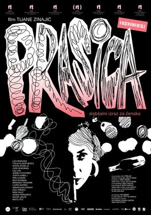 Prasica, slabsalni izraz za zensko's poster