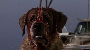 Cujo's poster