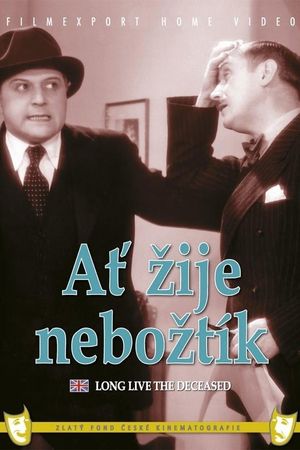 At zije neboztík's poster image