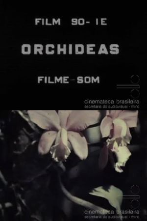 Orquídeas's poster image