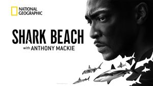 Shark Beach with Anthony Mackie's poster