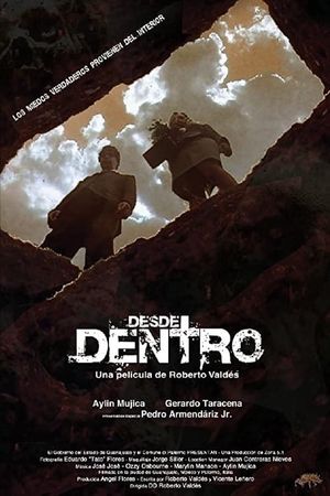 Desde dentro's poster