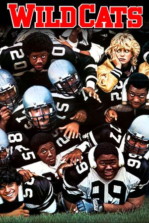 Wildcats's poster