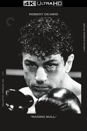 Raging Bull's poster