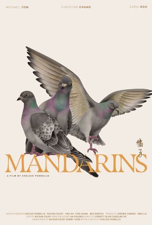 Mandarins's poster